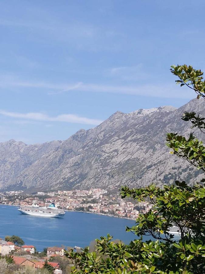 Casa Vecchia Villa Kotor Exterior photo