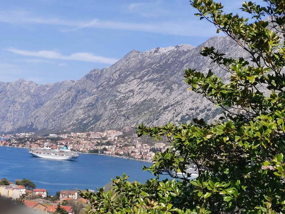 Casa Vecchia Villa Kotor Exterior photo
